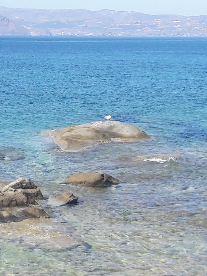 Elpidas Studios Agia Anna  エクステリア 写真